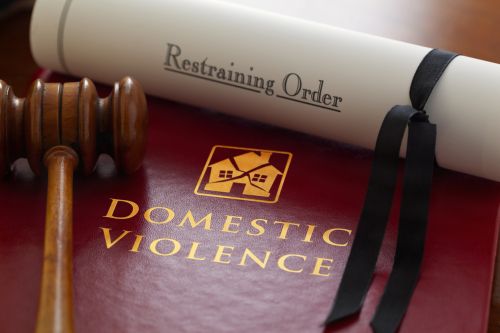 Domestic Violence law book